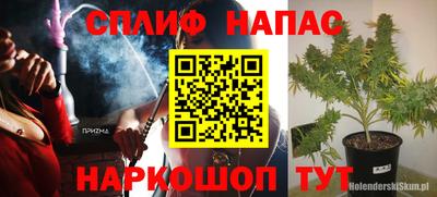 ешки Новокубанск
