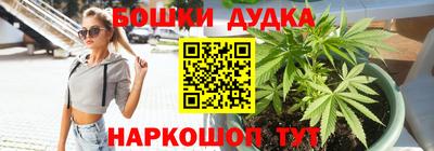 каннабис Новозыбков