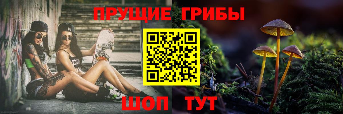 Псилоцибиновые грибы MAGIC MUSHROOMS  Вход с VPN  Санкт-Петербург 