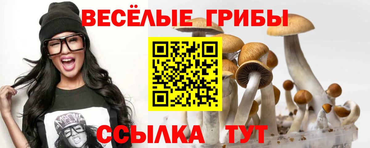 Санкт-Петербург  ГАШИШ  Вейп ТГК  Гашиш  Экстази  Меф МЯУ МЯУ   Вход с VPN  MDMA 